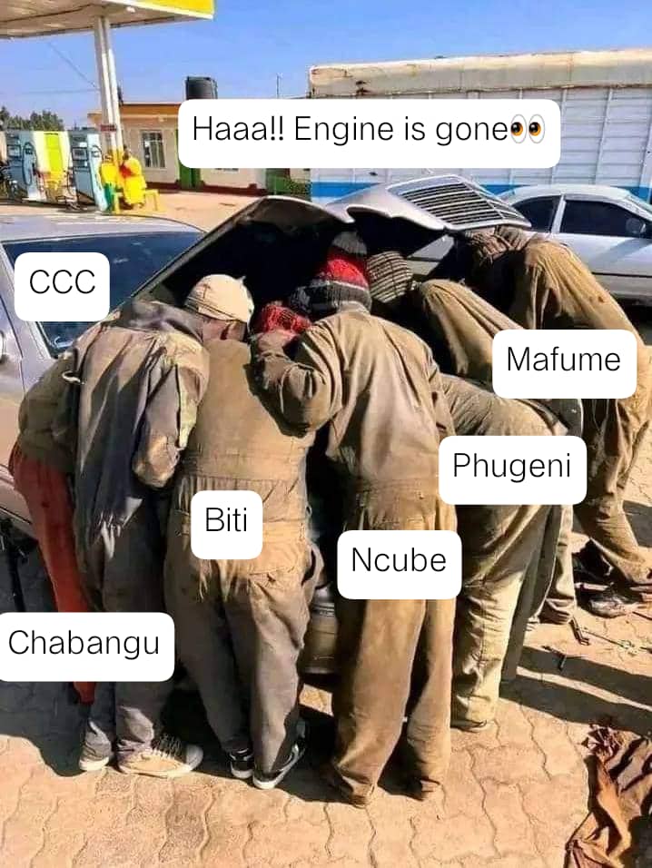 Ccc is gone zvino muchati kudii kune imi munotaurisa chitora hko chabangu tione