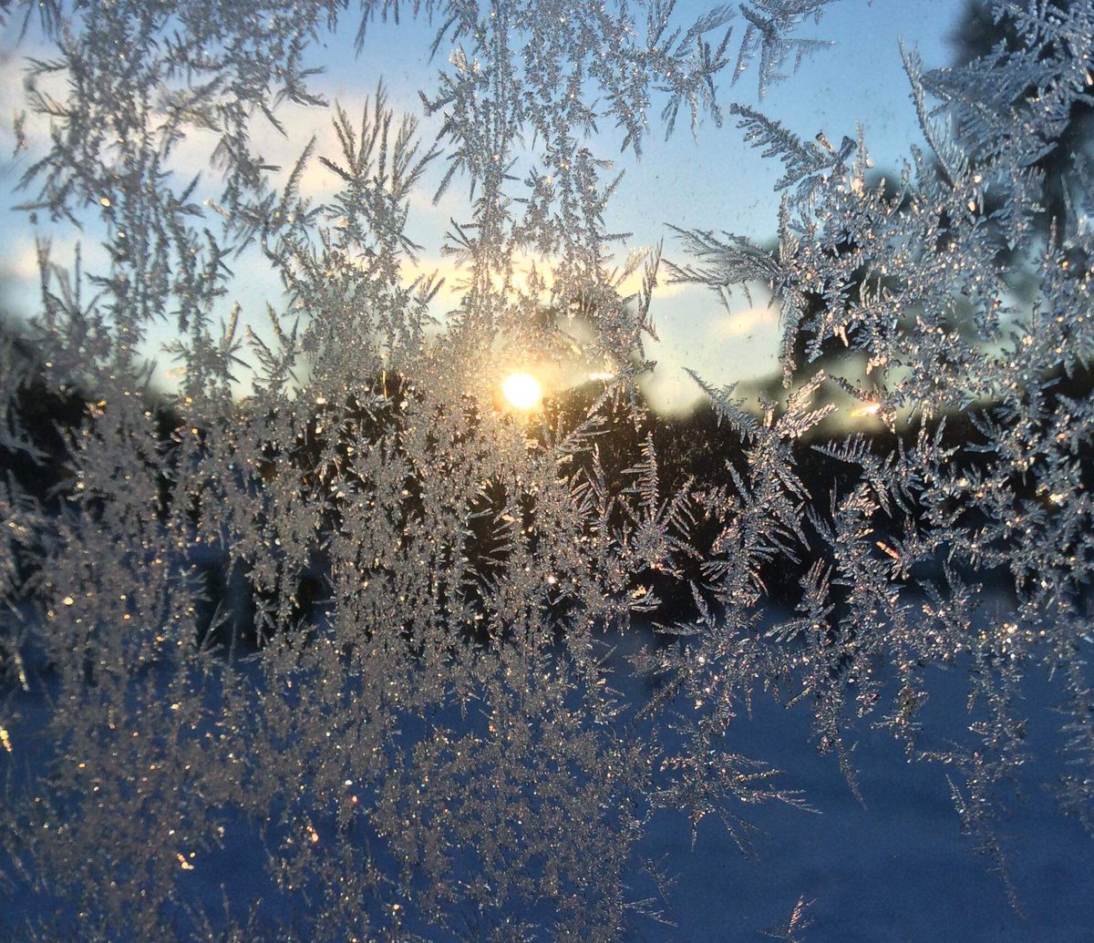 #vinterpåminplanet   Solen lyser genom rimfrostfönster