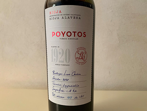 spanish_wl's tweet image. Nuestra selección de tintos para probar en 2024

👉 spanishwinelover.com/disfruta-636-o…