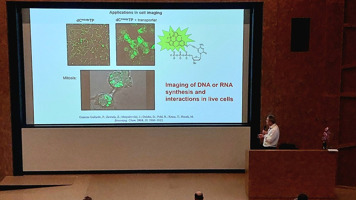 Michal HOCEK from the Czech Republic presents a study on modifications of bases and nucleic acids to start this last day #ChemBio2024 @reseauSCF