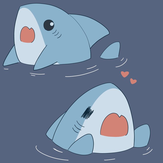 「shark smile」 illustration images(Latest)