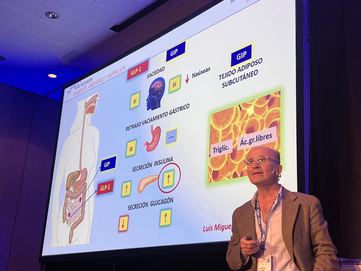 #18DM_SEMI 🔀Diferencias de efecto entre GIP y GLP1 Solo GIP tiene receptores en tejido adiposo 🎯