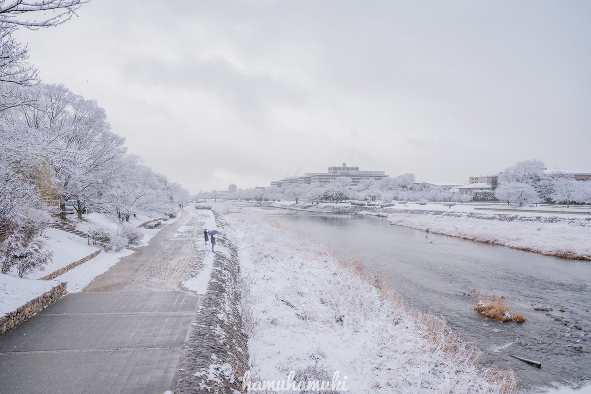 hamuhamuki's tweet photo. また京都に雪が来て欲しいな
(過去pic)

#nikon #tokyocameraclub #kyoto #zcreator #nikonthailand https://t.co/MSUoO0JNaz