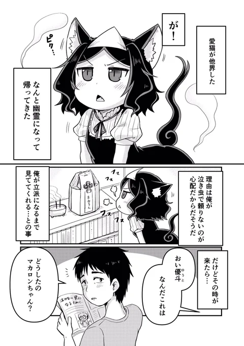 愛猫が幽霊になって帰ってきたら
#創作漫画 
#漫画が読めるハッシュタグ 