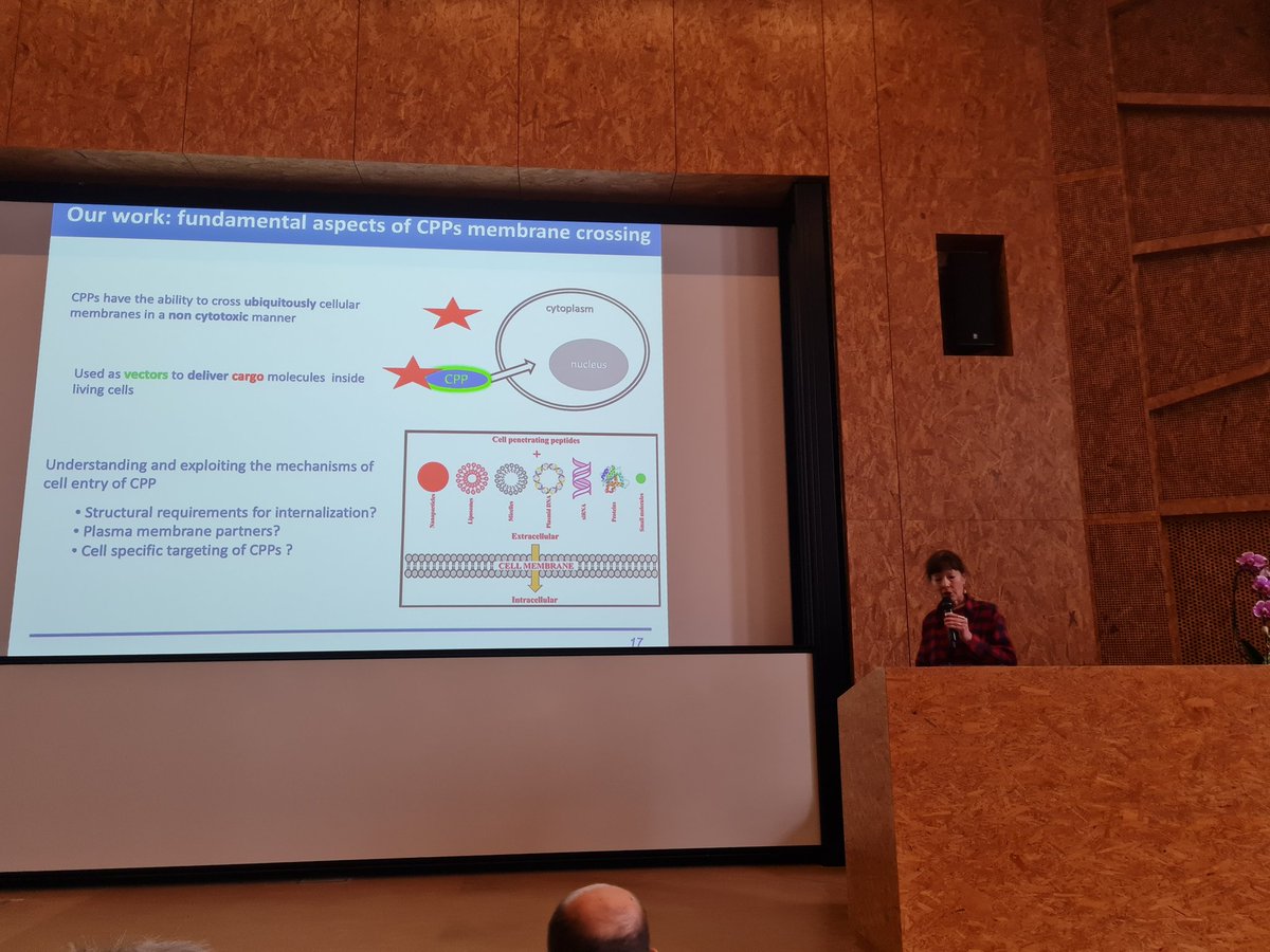 On stage of @SCF_ChemBio meeting, Sandrine Sagan gives a plenary talk on cell-penetrating peptides as bio-inspired delivery systems. #ChemBio2024