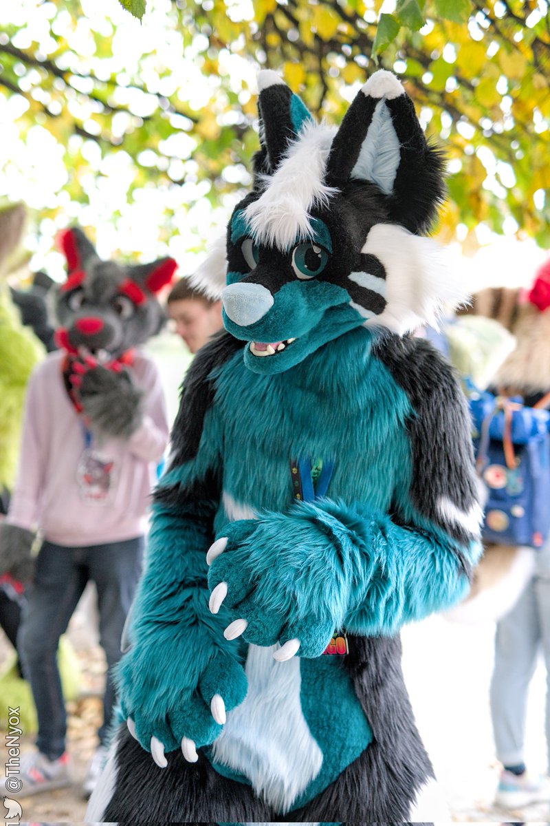 dargothedragon_'s tweet photo. ooop where is the camera?
#FursuitFriday 
📸 @TheNyox https://t.co/OAJelJH7oO