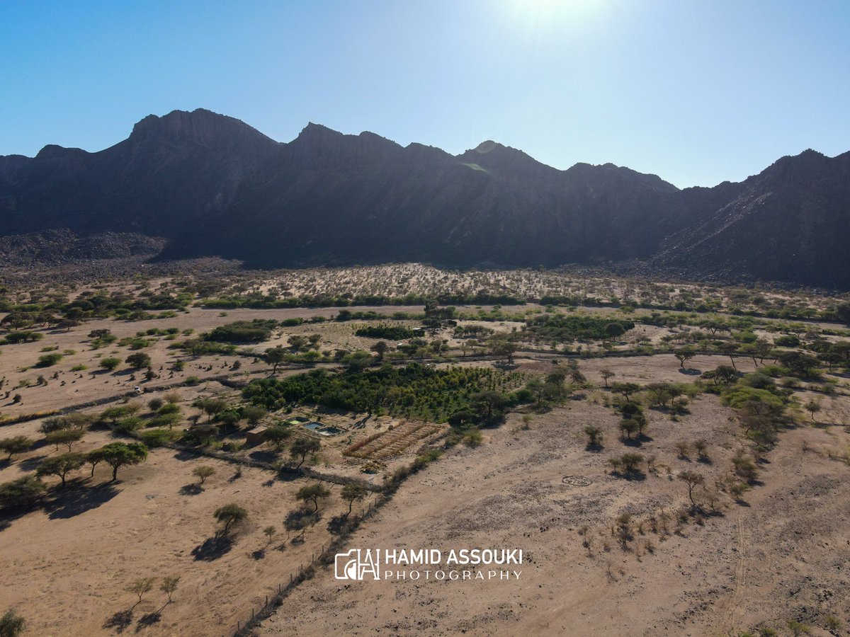 AssoukiHamid's tweet photo. THREAD ✅⬇️ Les agriculteurs locaux de Timia 🌴 cultivent une grande variété de agrumes frais et délicieux.🍊🌱🍊🍅#visitagadez #visitniger #Agadez #Niger #TIMIA https://t.co/AFV1k2QtkI