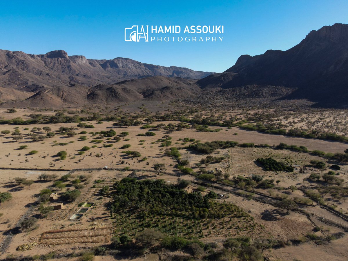 AssoukiHamid's tweet photo. THREAD ✅⬇️ Les agriculteurs locaux de Timia 🌴 cultivent une grande variété de agrumes frais et délicieux.🍊🌱🍊🍅#visitagadez #visitniger #Agadez #Niger #TIMIA https://t.co/AFV1k2QtkI