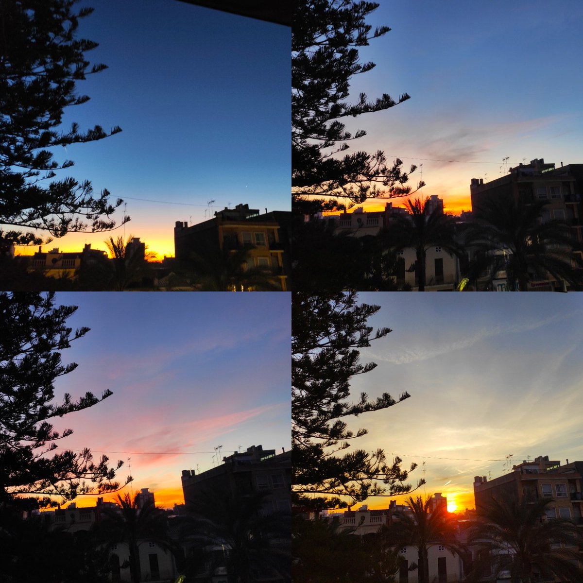 Bon día desde Catarroja #Valencia #26Ene #sunsetphotography 
#SinFiltros #NaturePhotography
#tiempoCV #PhotographyIsArt
#collagephoto #BuenosDias
@AEMET_CValencia @ElTiempoes @meteolivereta @oratgenet @SomosMeteo @Valencia_WX @Tiempo_Valencia @AEMET_Esp @avamet  @1967fct @esa_es