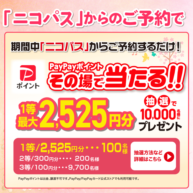 2525rentacar's tweet photo. /／

🌸春の「ニコ旅」にでかけよう！🌸

\＼

期間中３つのチャンス✨

①アプリ or WEBから📱事前決済💳で予約・返却した方に抽選 #プレゼント

②フォロー&amp;この投稿 #リポスト でも抽選プレゼント

③アプリ予約で #PayPayポイント その場で当たるチャンスも！

#フォロリポ #懸賞

詳細はこちら👇