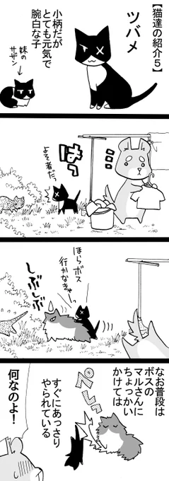 四コマ「祖父んちの隣人が多頭飼育崩壊した話33」。

#四コマ漫画 #猫 #御かぞくさま御いっこう 