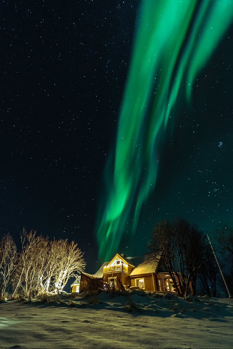 RBendova's tweet photo. This is why I love nordic winters 💚

#nordiclife #Iceland #northernlights https://t.co/76Vn9kWjFF