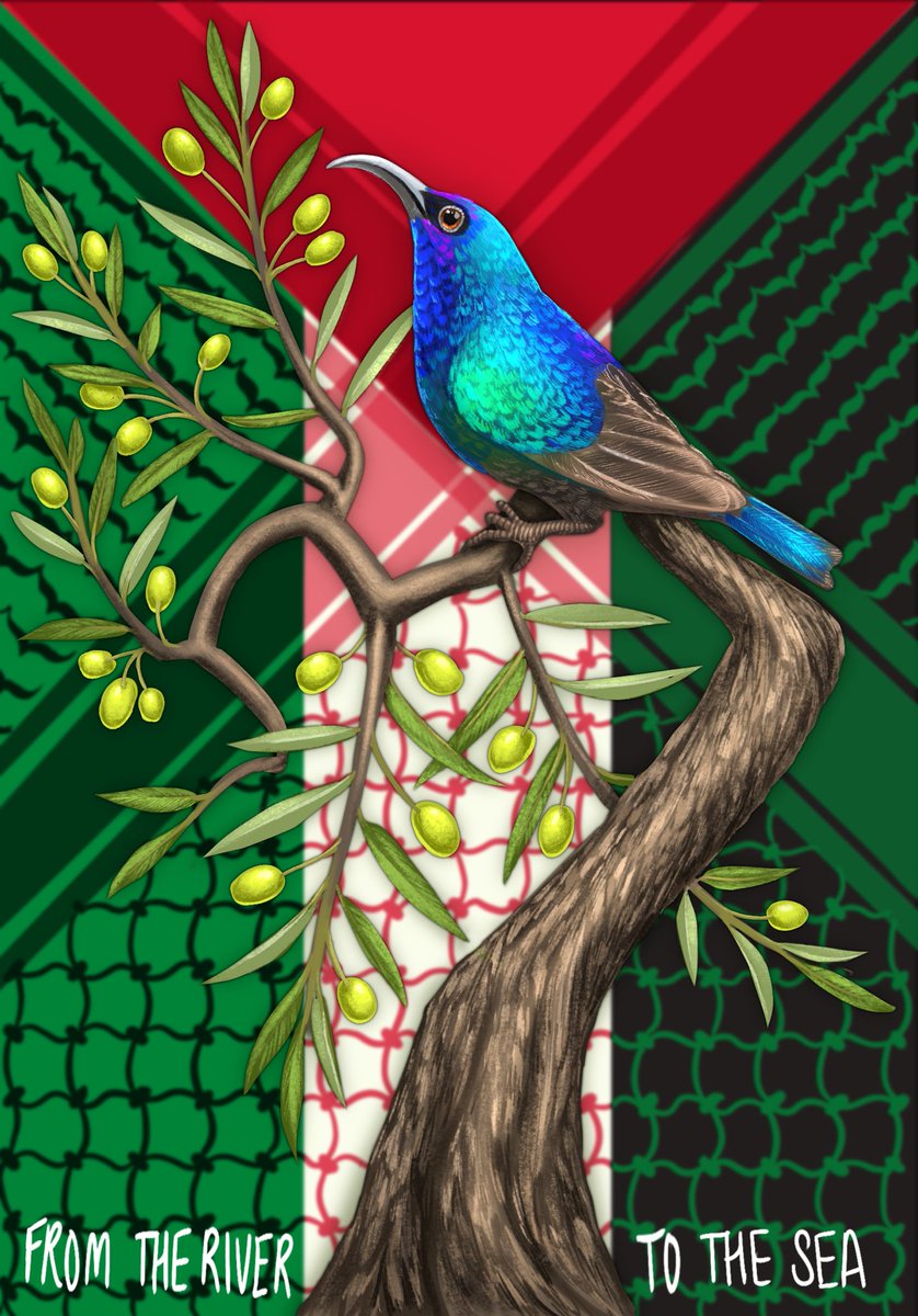 #StrikeForPalestine #StrikeForGaza #CeasefireNOW #FromTheRiverToTheSea 
Keep striking. Keep protesting. Keep talking. 
Nobody is free until everyone is free.