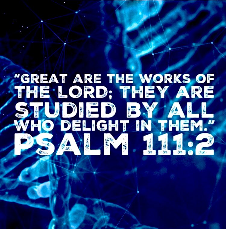 JOSHUA PROJECT tweet media