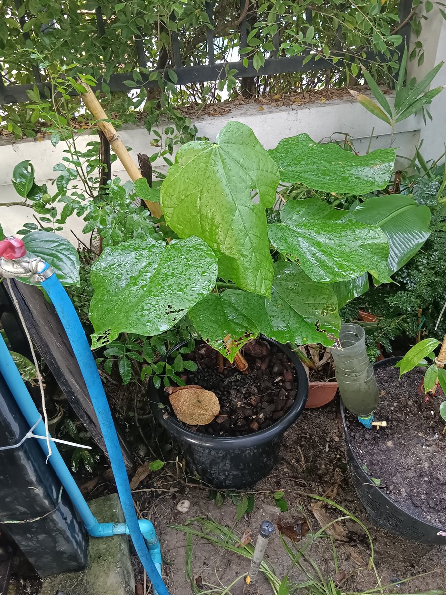 RedMi31570672's tweet photo. https://t.co/vNhCgwLEMt