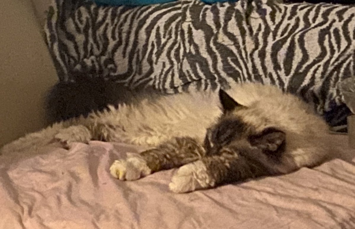Finaly I have remember to do “Funkening Flat Friday Day” #FFF @goodgirljuliee ‼️ Sorry I alway’s forget because, I am to busy being Flat, especialy because, it is so hot ‼️ it was, 41 Degree’s today so I had to be Extraflat 🥵☀️