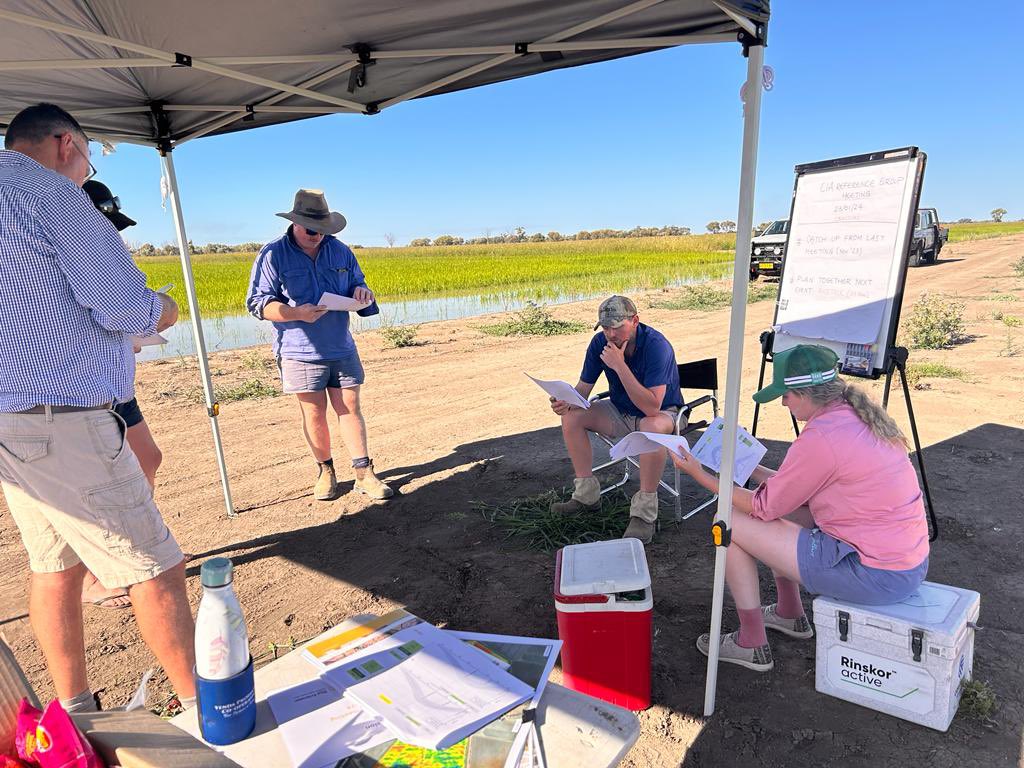 In the decision-making process for focus sites, the reference group (site owner, local growers, RE team members, & industry advisors) plays a pivotal role by challenging existing practices and promoting innovative thinking for implementation within the local rice growing area.