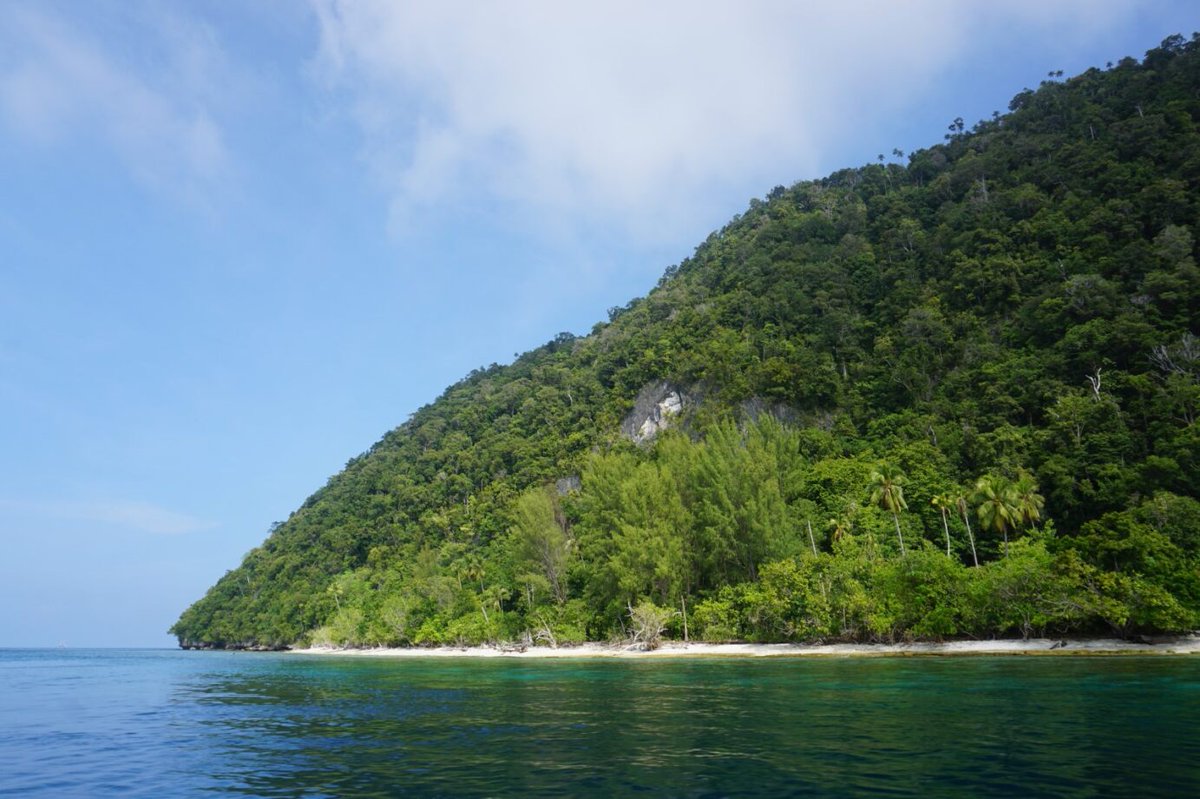 Small Islands Organisation (SMILO) (@smilo_org) on Twitter photo Have you heard of Mansuar island? It is a 15km² island located in Raja Ampat, Indonesia, in the greatest marine biodiversity area in the world! We recently spent a wonderful week there to learn about coral restoration & traditional conservation methods. <a href="/AFD_France/">Agence Française de #Développement (AFD) 🇫🇷 🇪🇺</a> <a href="/FFEM_Fr/">Fonds français pour l'environnement mondial (FFEM)</a> Have you heard of Mansuar island? It is a 15km² island located in Raja Ampat, Indonesia, in the greatest marine biodiversity area in the world! We recently spent a wonderful week there to learn about coral restoration & traditional conservation methods. <a href="/AFD_France/">Agence Française de #Développement (AFD) 🇫🇷 🇪🇺</a> <a href="/FFEM_Fr/">Fonds français pour l'environnement mondial (FFEM)</a>