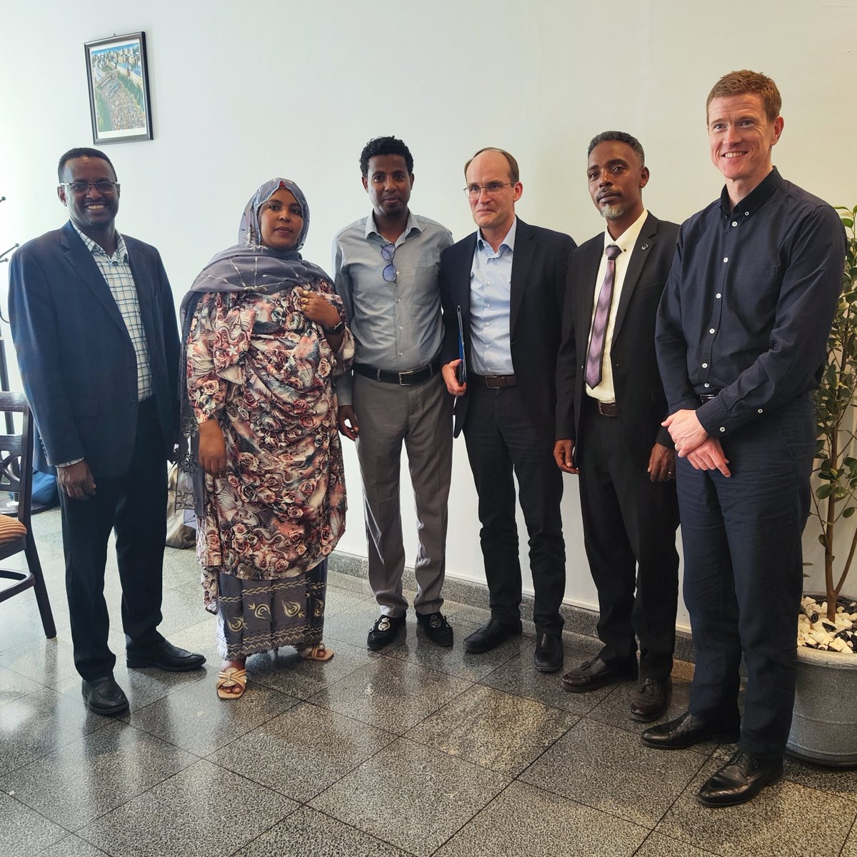 Sweden in Ethiopia & AU tweet media