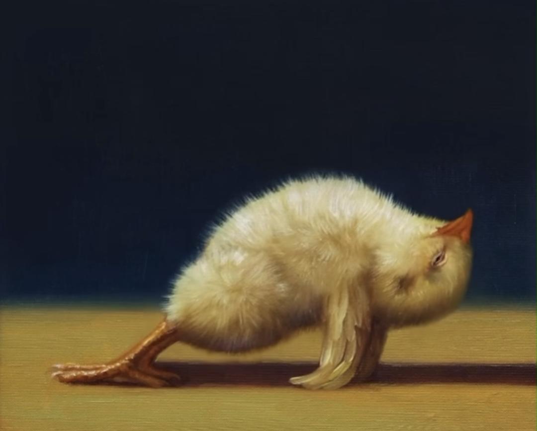 Добро утринско растегнување е клучно за почеток на денот 🙂