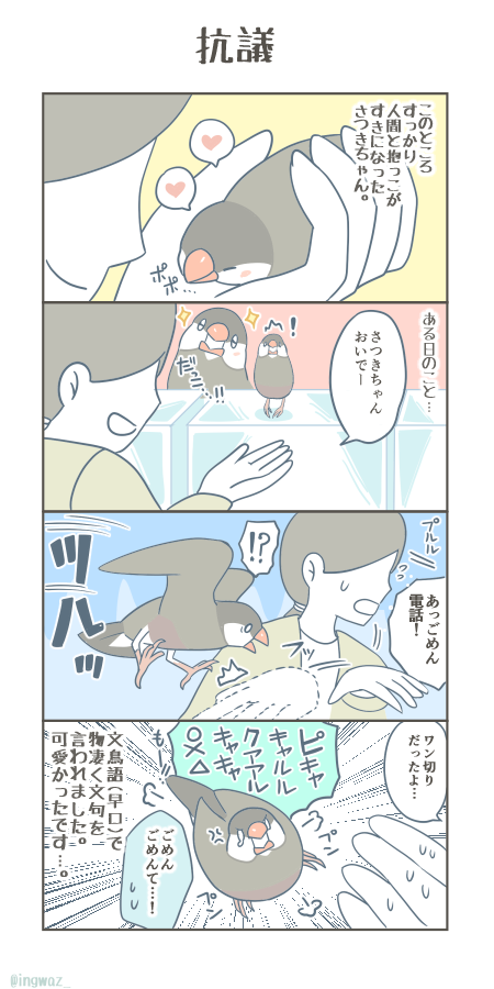 抗議。
申し訳なかったですがかわいかったです…

#漫画が読めるハッシュタグ #Buncho #文鳥 