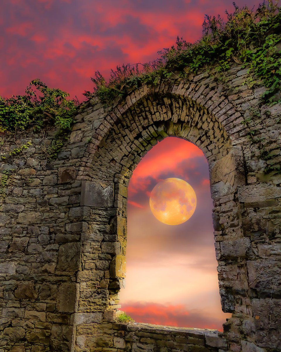 GM and Happy Friday!

Did you get to see last night's full Wolf Moon?

“Super Moon through Ireland Church Ruins”
0.10 Ξ - 1/1
Link ⤵️