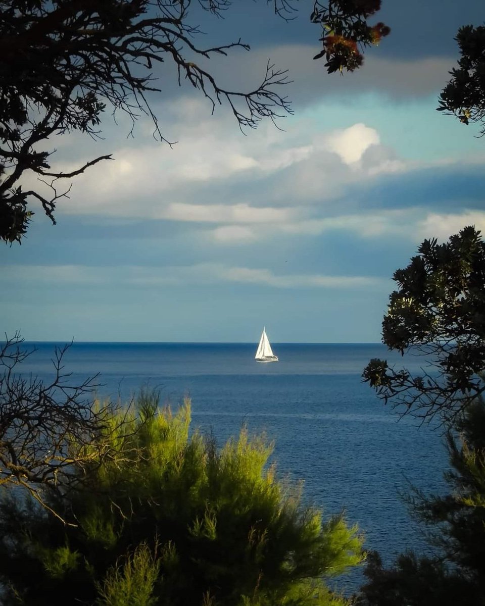 Douceur matinale ⛵️💙 Joli jour à vous 🕊🌿 🤍 ma 📷