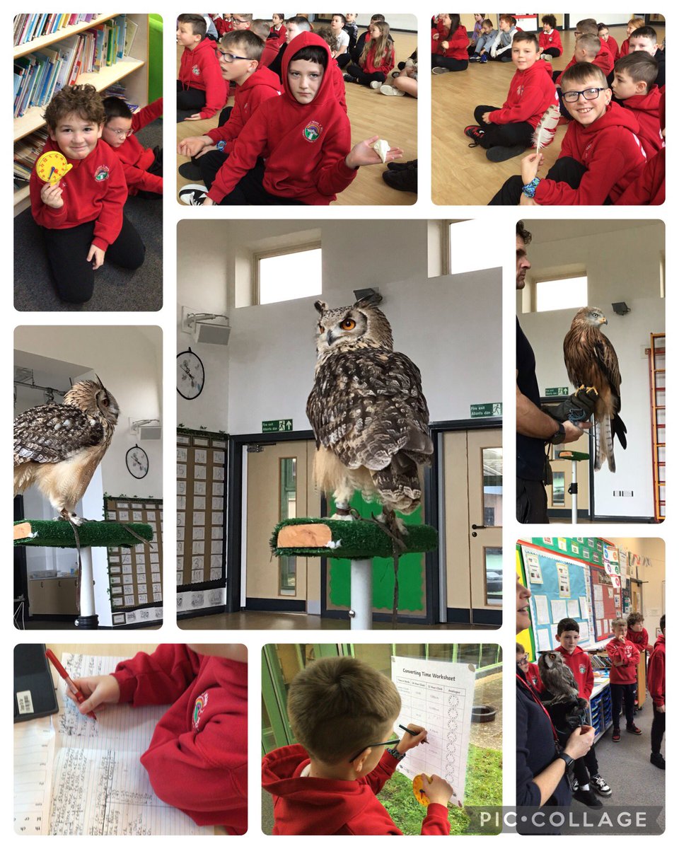 Maes Y Morfa tweet media