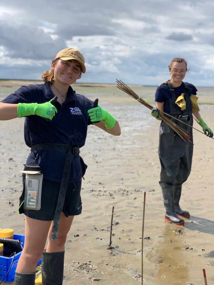 ZSLMarine tweet media