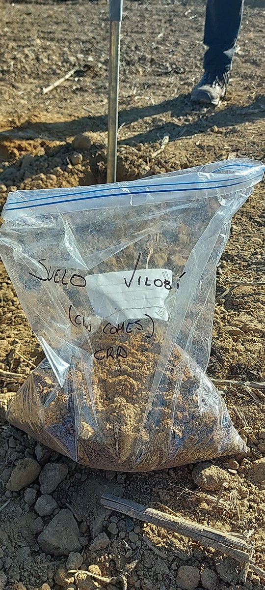 Mostreig de sòls pel projecte EC-FATE a la conca de l'Onyar per determinar la sorpció dels fàrmacs. <a href="/IcraWater/">ICRA</a> <a href="/icraeco/">ICRA- Resources and Ecosystems</a> <a href="/GEOCAMB_UdG/">GEOCAMB_UdG</a> <a href="/iCERCA/">Centres CERCA</a>