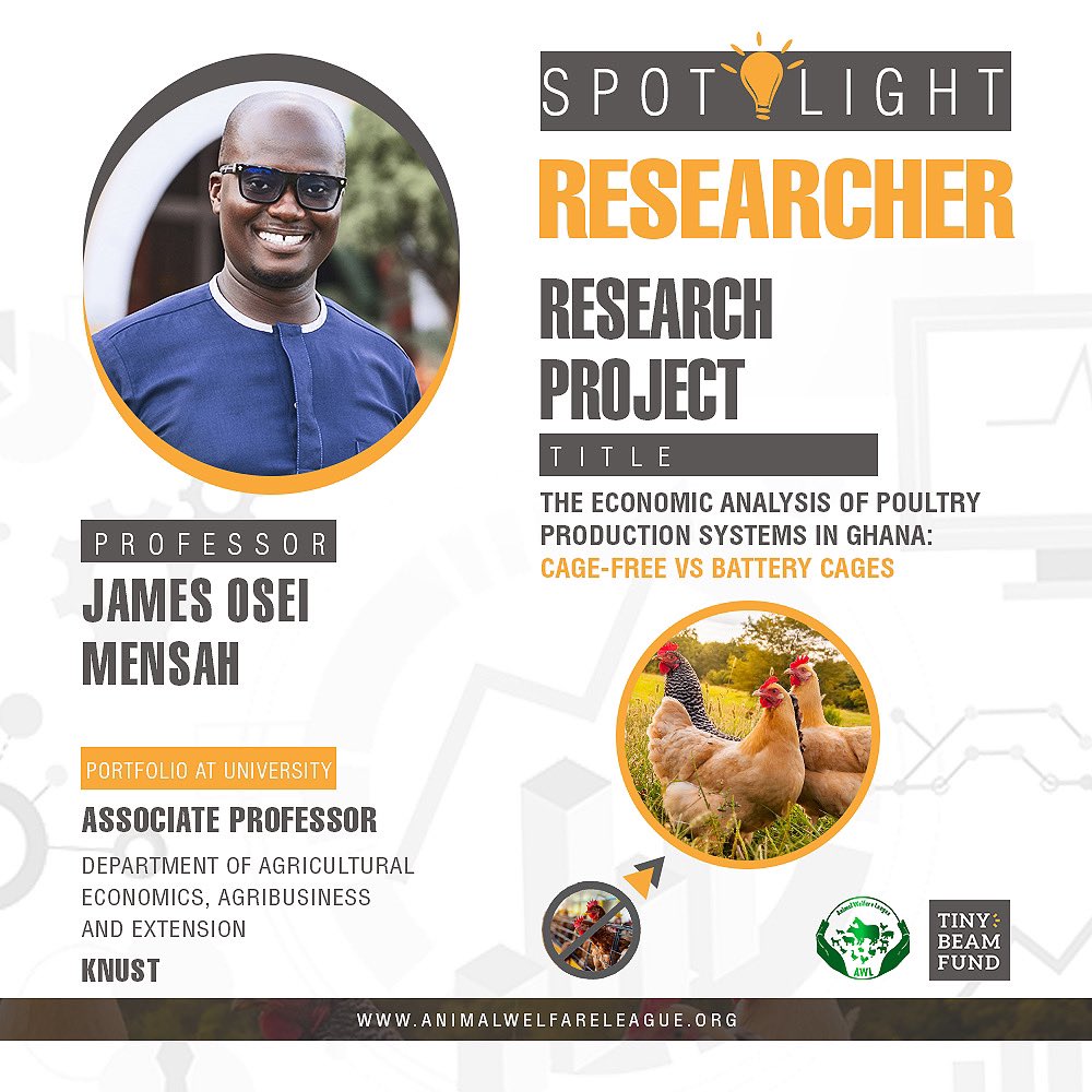 animalwelfaregh's tweet image. 1/2

💡SPOTLIGHT💡

✅✅Meet Prof. James Osei Mensah🫱🏿‍🫲🏾, An Associate Professor at the faculty of Agriculture in Kwame Nkrumah University of Science and Technology, Ghana.

#animalwelfare #Gocagefree #stopfactoryfarming #stopanimalcruelty #animalwelfareleague #cagefree