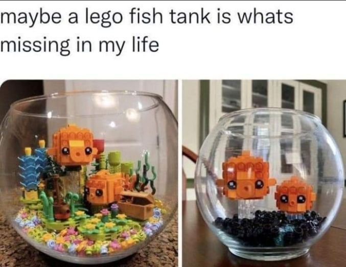 WholesomeMeme's tweet photo. https://t.co/QMTcZ8Lqxi