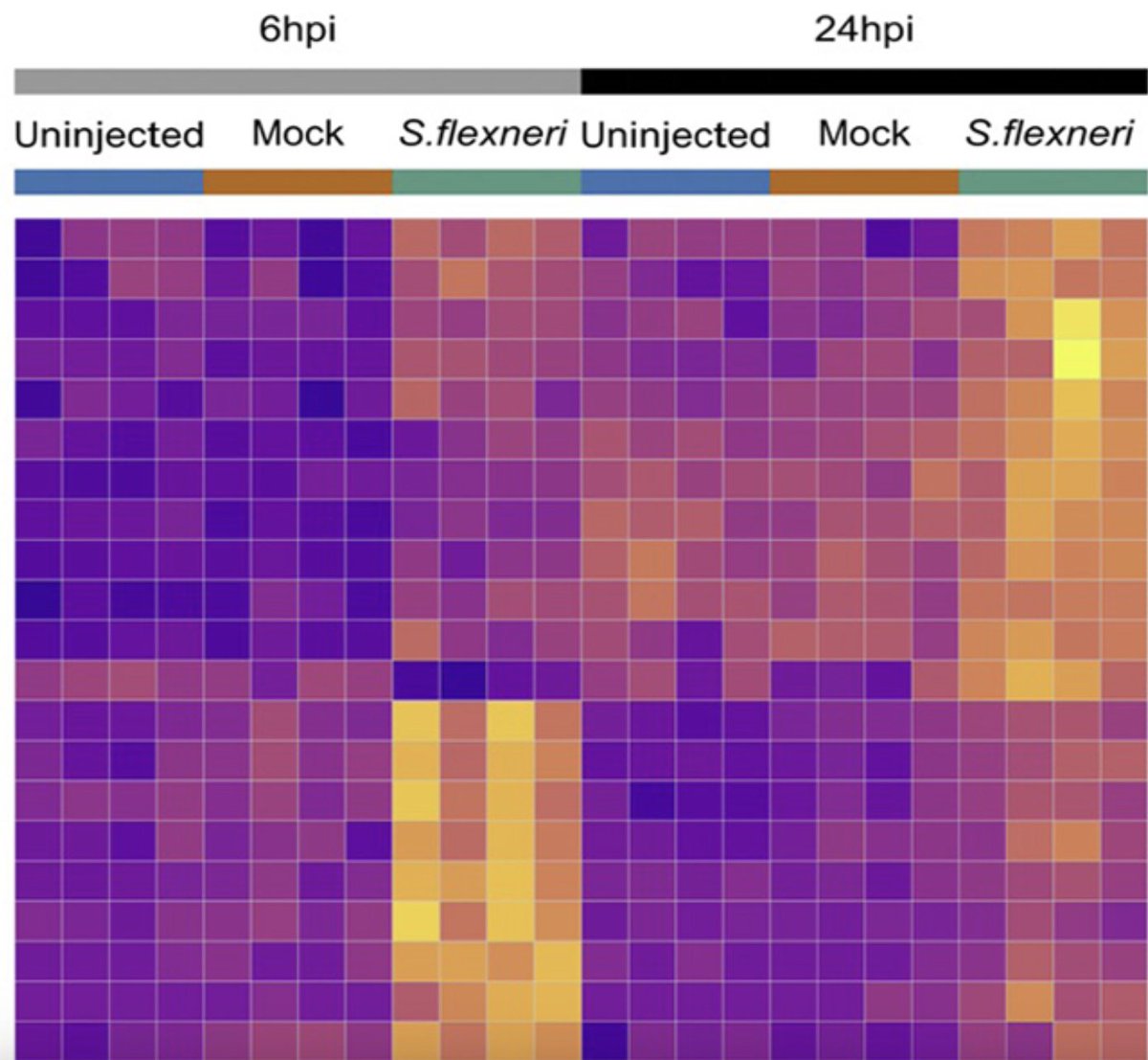 Vincenzo Torraca tweet media