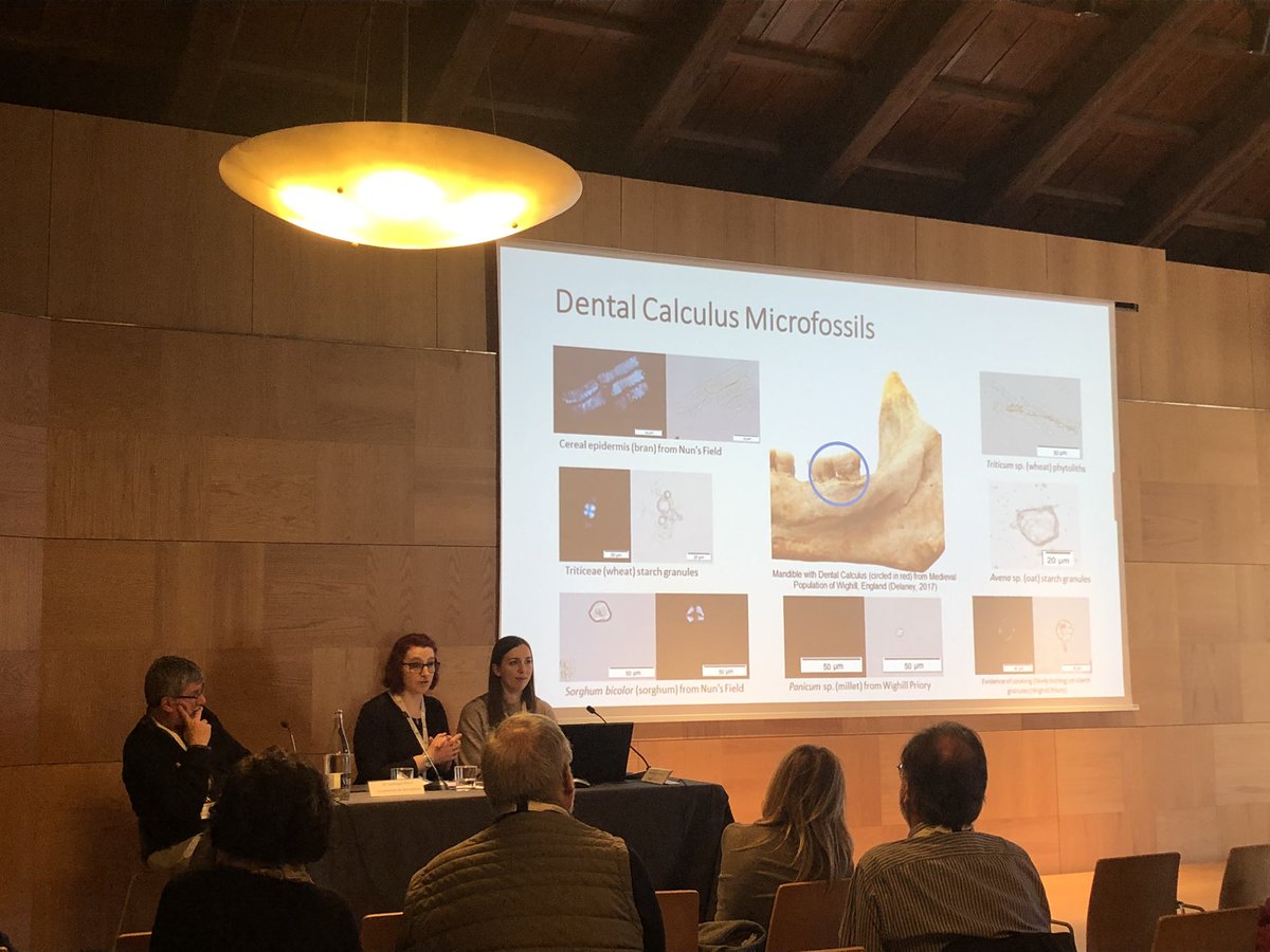 MonBones research project (@monbones) on Twitter photo Researchers Mary Lucas and Sarah Delaney present an amazing study using multi-proxy analysis to explore the lifeways of virtual populations in two medieval nunneries in northern England. 🦷🧪📊 #MedievalResearch #Monbones24 #NunneriesLife <a href="/Mary_A_Lucas/">Mary Lucas</a> Researchers Mary Lucas and Sarah Delaney present an amazing study using multi-proxy analysis to explore the lifeways of virtual populations in two medieval nunneries in northern England. 🦷🧪📊 #MedievalResearch #Monbones24 #NunneriesLife <a href="/Mary_A_Lucas/">Mary Lucas</a>