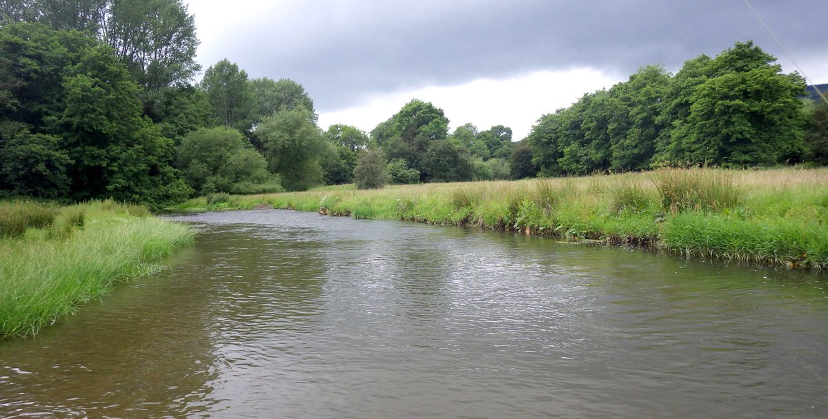 The Severn's second largest tributary. 

A river reputed to be one of the fastest in the UK.

Whose history is shaped by giants.

Our January River of the Month is...... Afon Tefeidad! (the River Teme)

Read more here: afonyddcymru.org/teme/