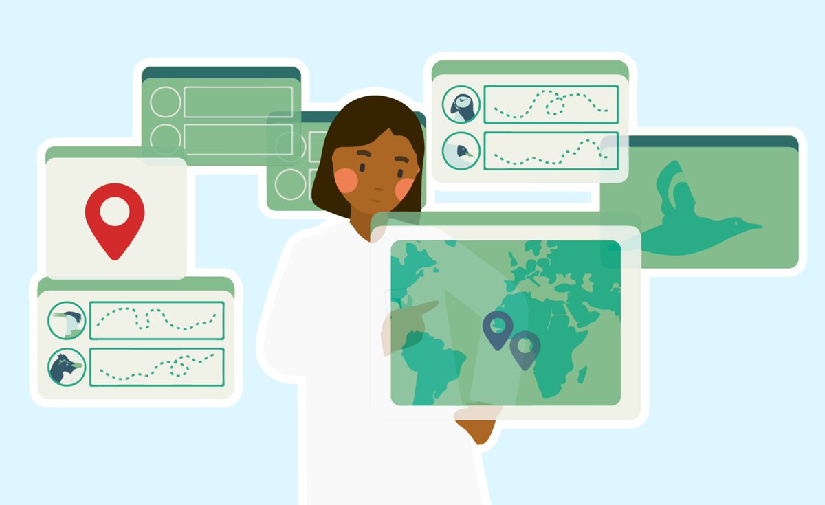 Work with us! 

We're looking for a Marine Science Officer (Interim) to join our team for 1 year to support our work using seabird tracking data for conservation:  
birdlife.org/careers/interi…

#BirdLifeScience #Ornithology #Seabirds