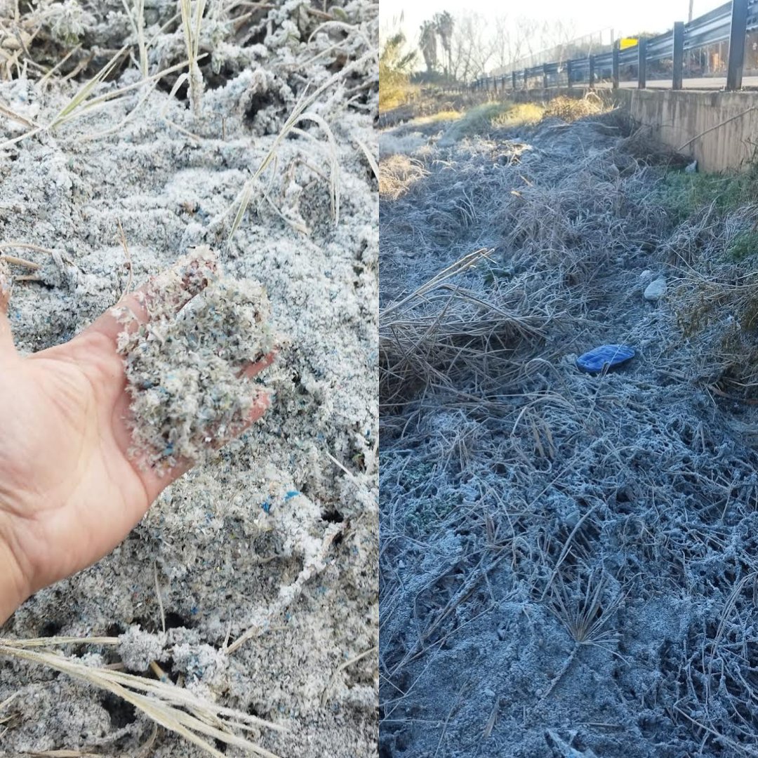 AccióEcologista Agró tweet media