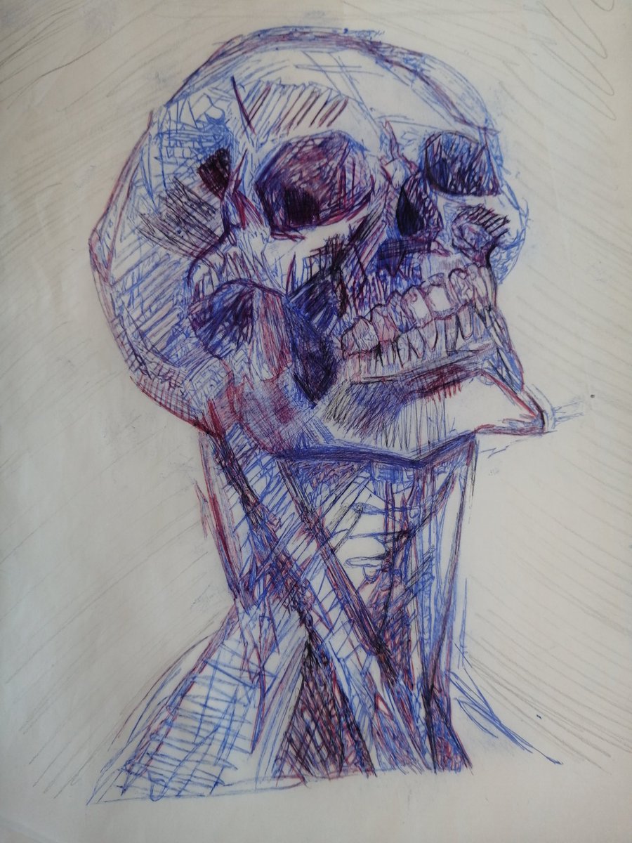 SGSArtDesign's tweet photo. #SGSyear10 working well on their sketchbooks this morning. Developing anatomy work in various media. #Creativity #SGSArtdep https://t.co/AUfo4u4cjF