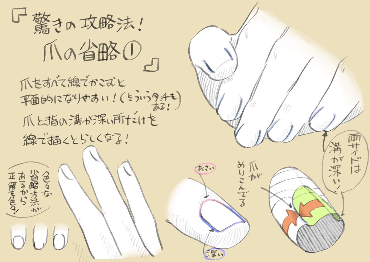 simodasketch's tweet photo. 爪について考えてみた！ https://t.co/t4OJb7OOWp