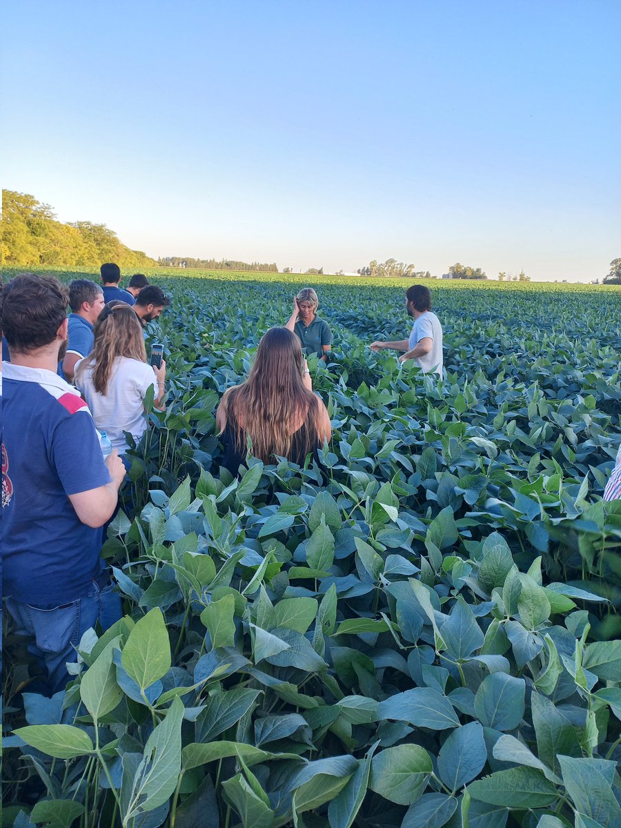 Cerramos el jueves con un lindo intercambio con <a href="/Syngenta_ar/">Syngenta Argentina</a> y <a href="/MartinGalli77/">Martin Galli</a>
