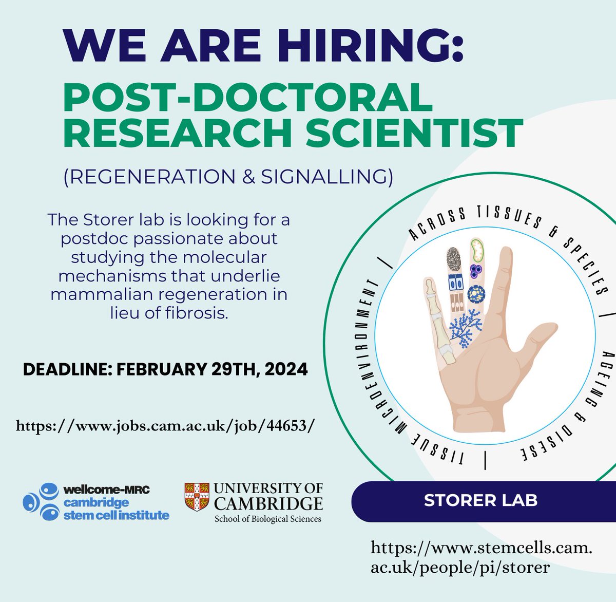 MekaylaStorer's tweet photo. JOB ALERT: Postdoctoral Research Scientist. This opportunity will suit someone passionate about the molecular mechanisms of development and regeneration. https://t.co/e0czH95kjS