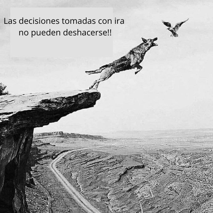 10 IMPACTANTES IMÁGENES SOBRE LA VIDA :

🧵HILO 🧵 (GUARDAR AL INSTANTE)

1.