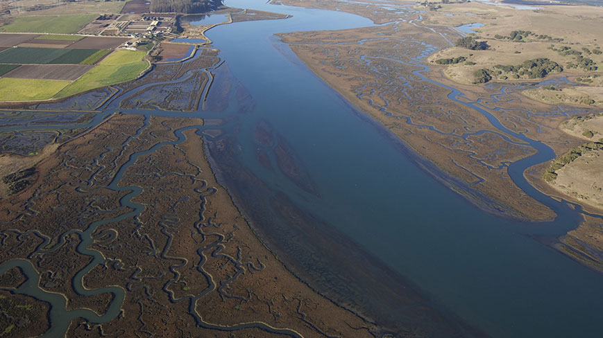 📢4 Fully Funded PhD Studentships @univofstandrews Deadlines soon ‼️‼️ 2nd Feb - Calcium Carbonate in blue carbon environments 9th of Feb - Carbon-Scapes 9th of Feb - Marine mass transport processes 9th of Feb - Next gen risk assessment of the seabed Project details ⬇️