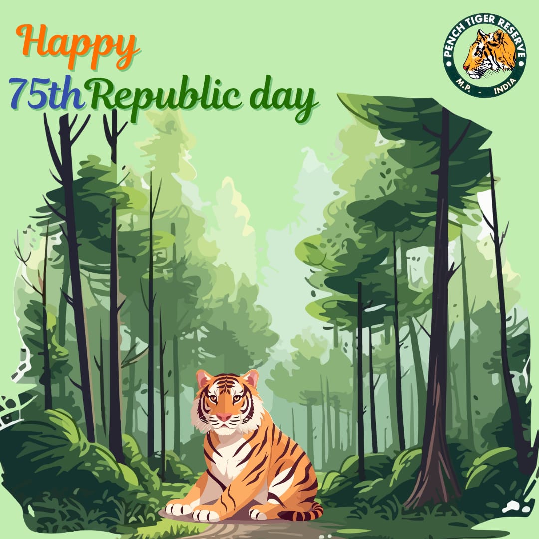 🇮🇳 Happy 75th Republic Day, India! 🐅 Today, let's celebrate the spirit of freedom and conservation. 🌿 Pench Tiger Reserve stands proud, protecting our majestic wildlife. Together, let's strive for a sustainable and harmonious future. #RepublicDay #PenchTigerReserve #India75