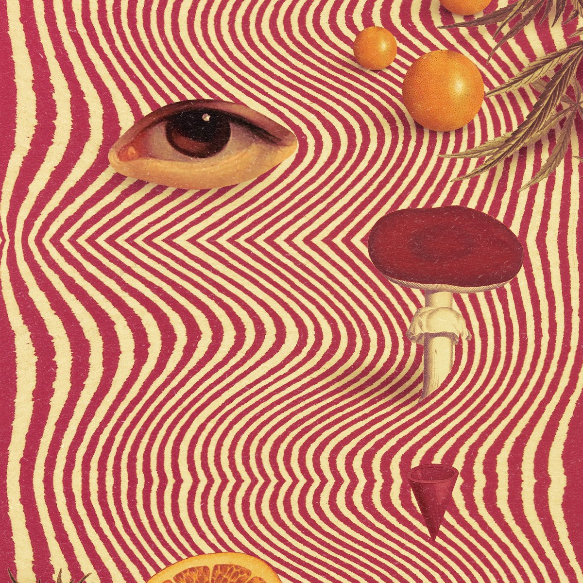 gm 👁️🍄