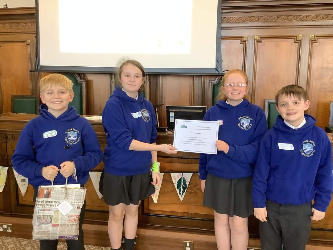 Manor Beach Primary tweet media
