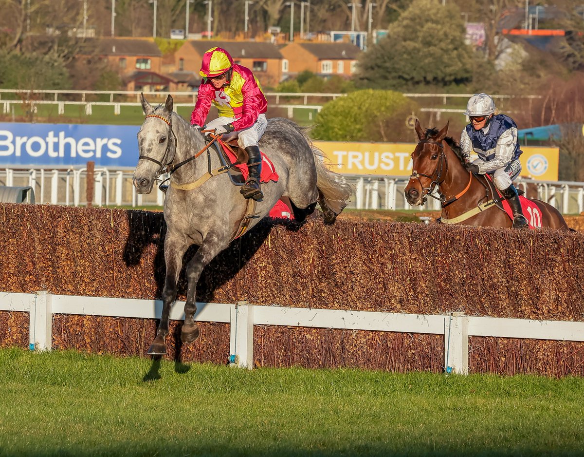 BHAHorseracing's tweet photo. @Sandownpark @GLRFCA Congratulations to @jamiesnowden, Major Will Kellard and the Rc Syndicate for landing the 2024 Grand Military Gold Cup with Farceur Du Large 👏🏆 https://t.co/EJx6SksluC