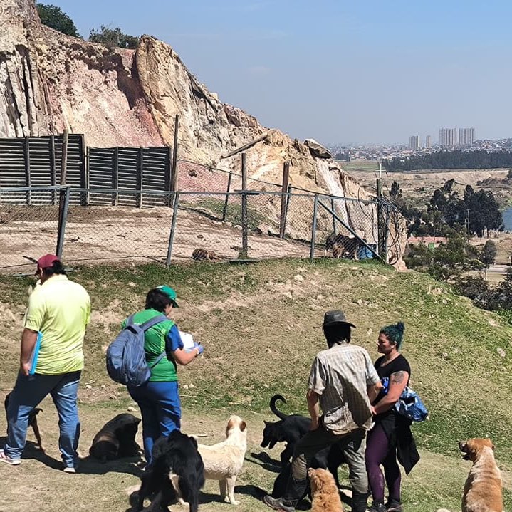 AnimalesBOG's tweet photo. #AEstaHora nos encontramos realizando visita de verificación de las condiciones de salud de los animales del refugio ubicado en el barrio Acapulco de la localidad de Ciudad Bolívar, muy cerca de una zona afectada por la conflagración. https://t.co/I6ydUGHCp8