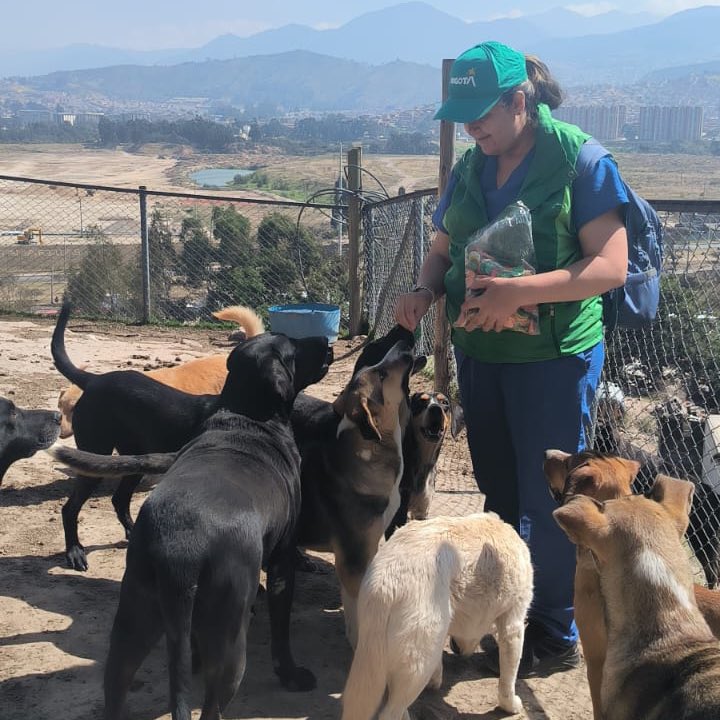 AnimalesBOG's tweet photo. #AEstaHora nos encontramos realizando visita de verificación de las condiciones de salud de los animales del refugio ubicado en el barrio Acapulco de la localidad de Ciudad Bolívar, muy cerca de una zona afectada por la conflagración. https://t.co/I6ydUGHCp8