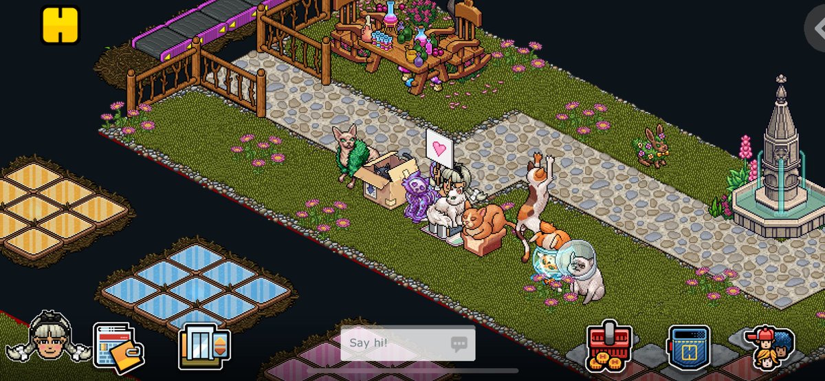 🐾 .COM GIVEAWAY 🐾 
rt &amp; follow me for a chance to win a set of the cat cafe kitties! 
This competition ends in 48 hours. Good luck everyone 🫶🏻